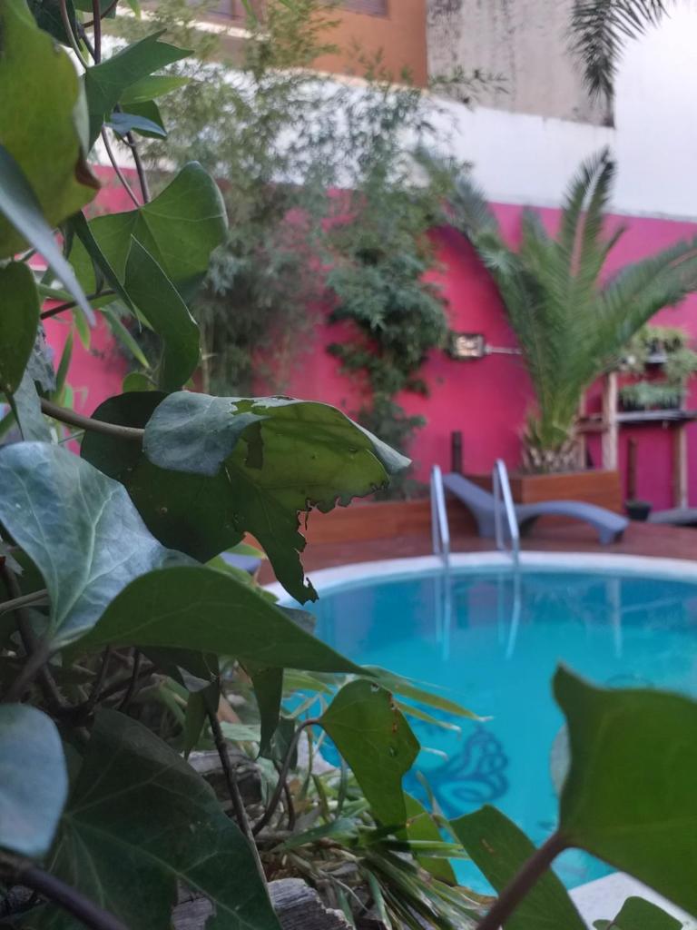Bucanaan hostel boutique photo 2