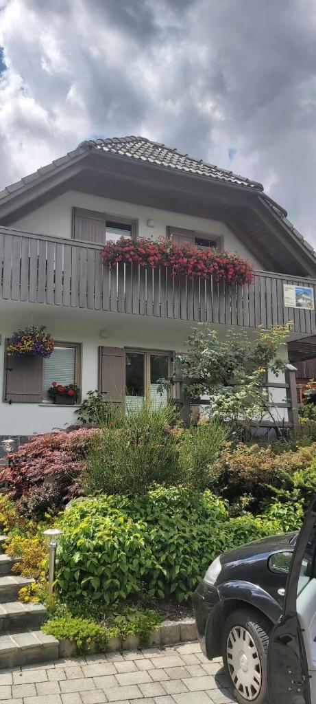 Apartma - Počitniška hiša Lodi photo 2