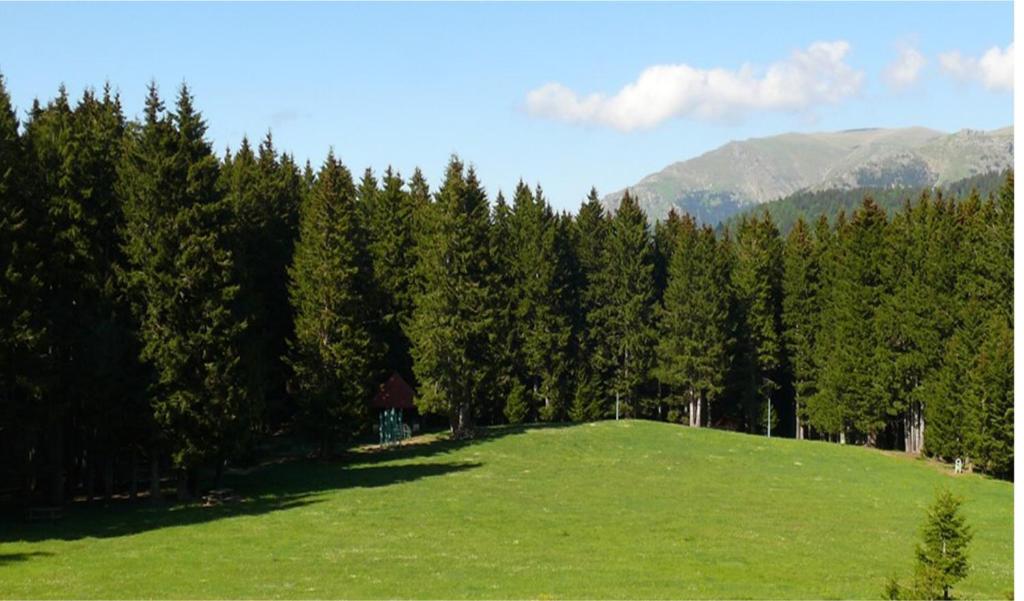 North Chalets photo 2
