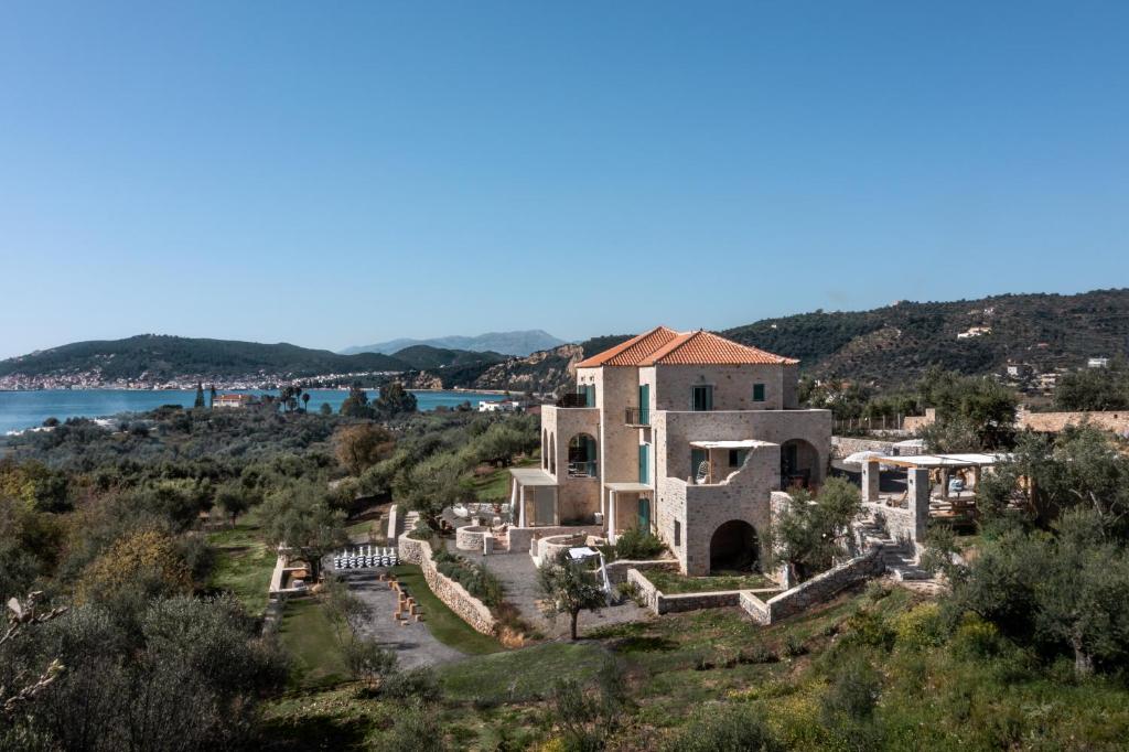 The Olive Yard photo 1