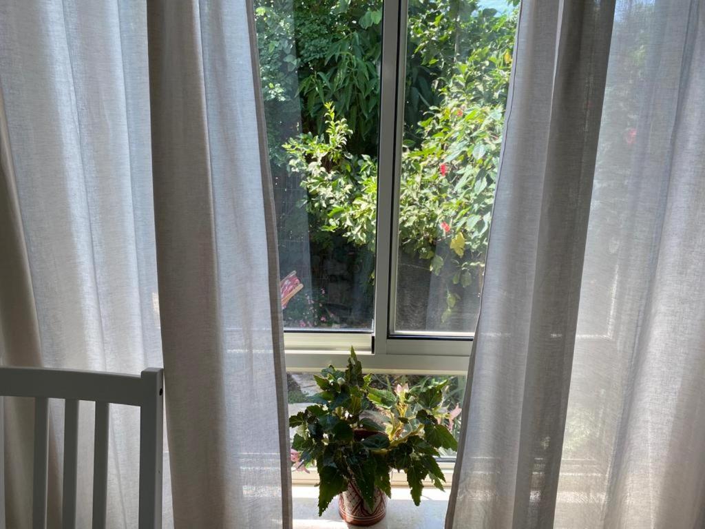 Maple's Place - אירוח מייפל photo 4