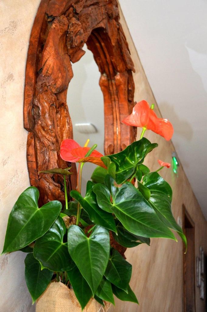 Boutique Villa Amalia photo 4