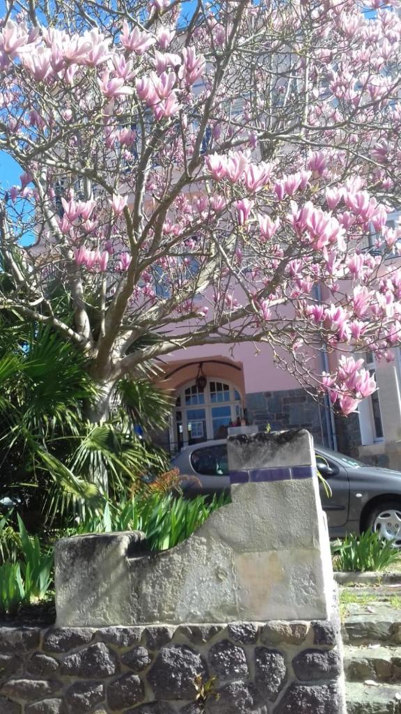 Villa Helianthe photo 2