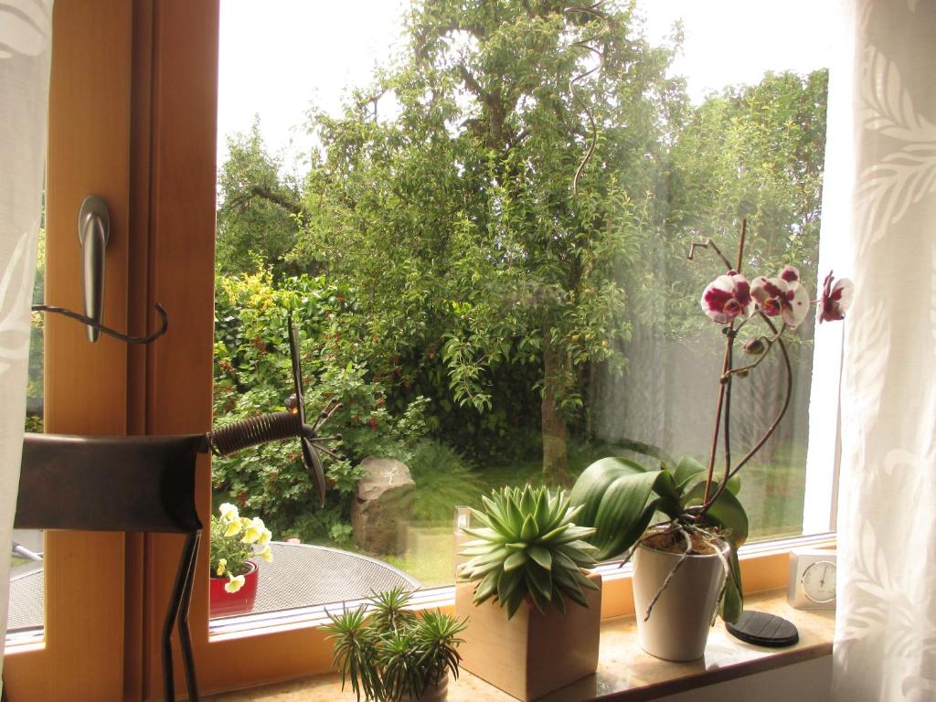 Ferien bei Naus - Ferienwohnung photo 4