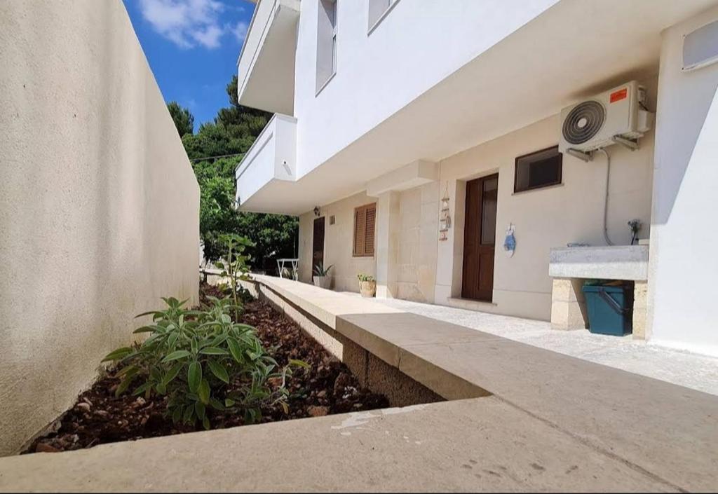 Casa vacanze Pesce azzurro photo 1