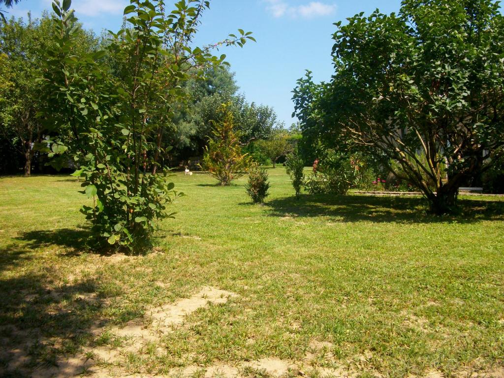 Domaine de Monein photo 3