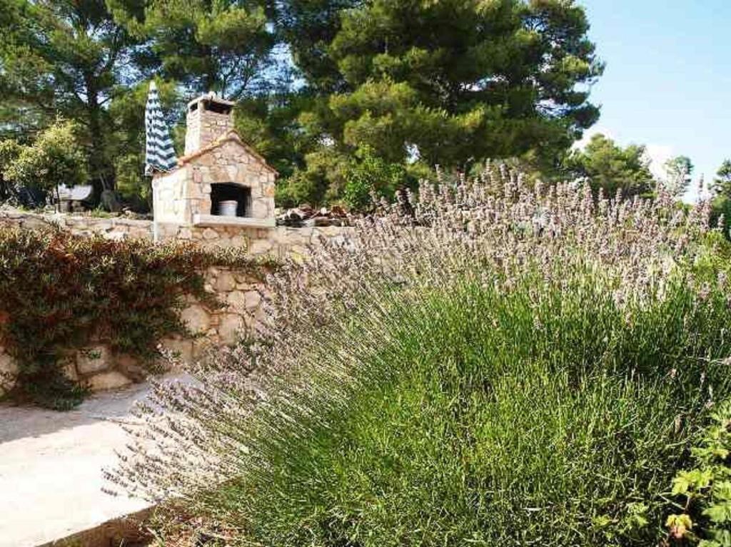 Apartments Sunny Hvar - with pool; photo 1