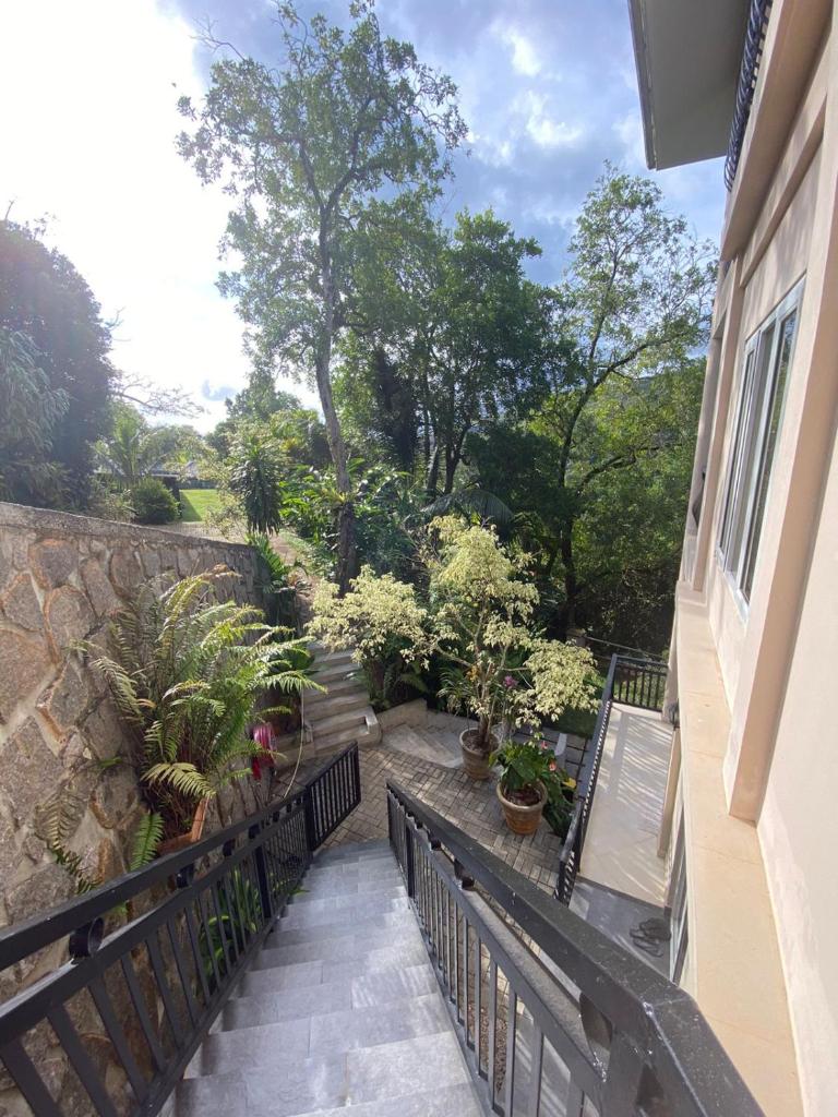 SOUTH HILL VILLA photo 3