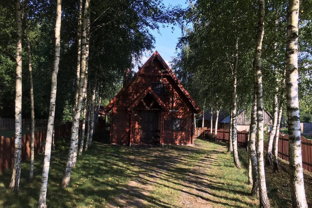 Siedlisko Czarny Bocian photo 4