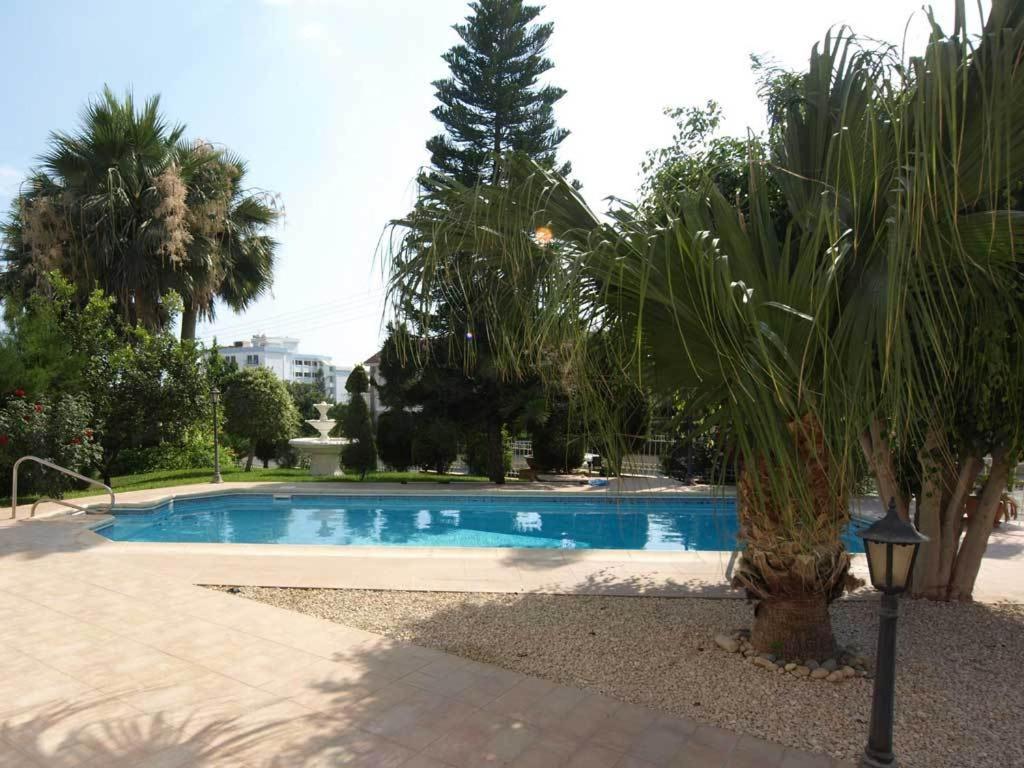 Patatas Villa photo 1
