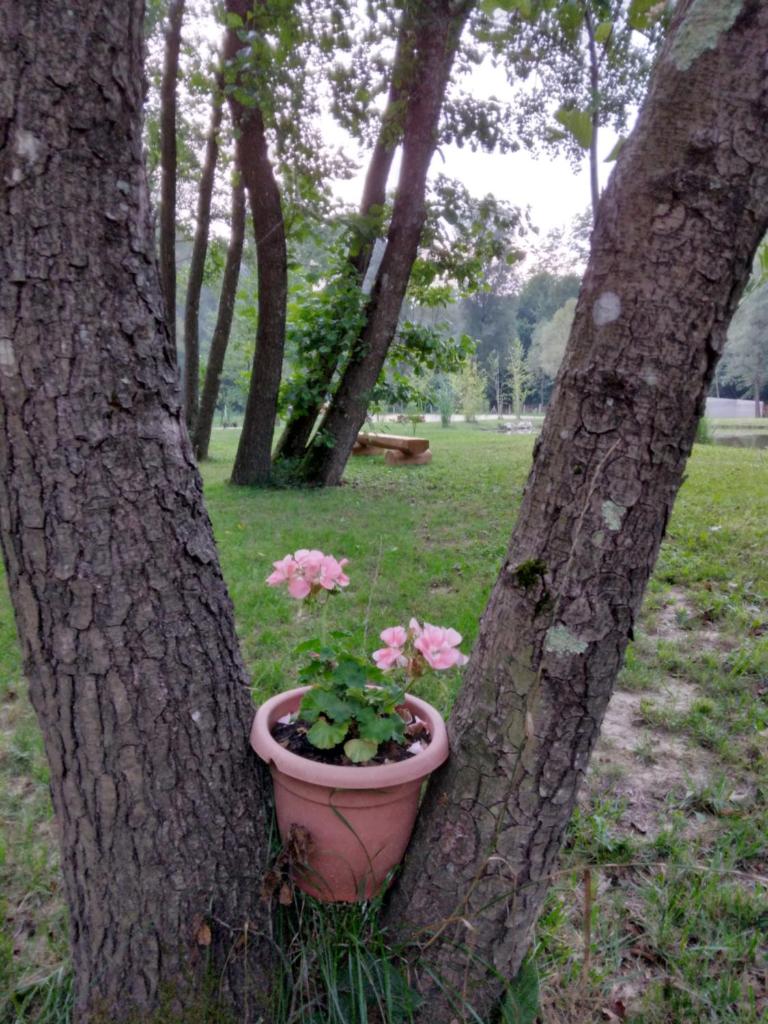 Imanje Izgubljena Dolina photo 4