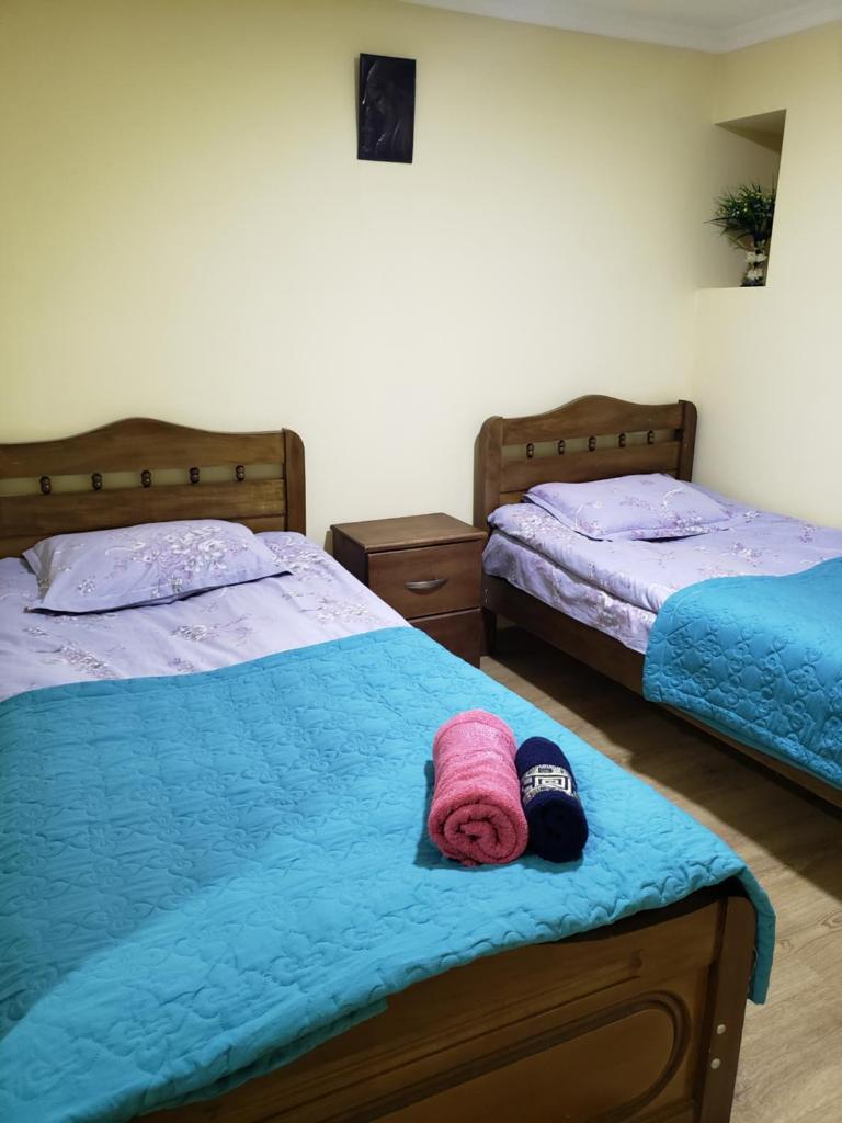 Guest House Nanu photo 4