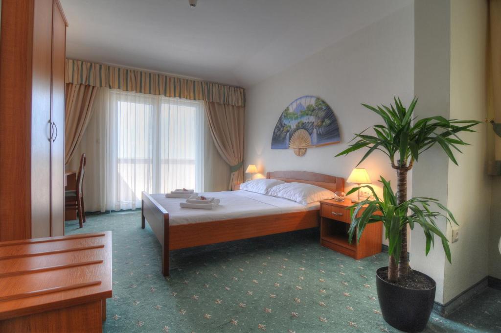 Hotel Rosina photo 4