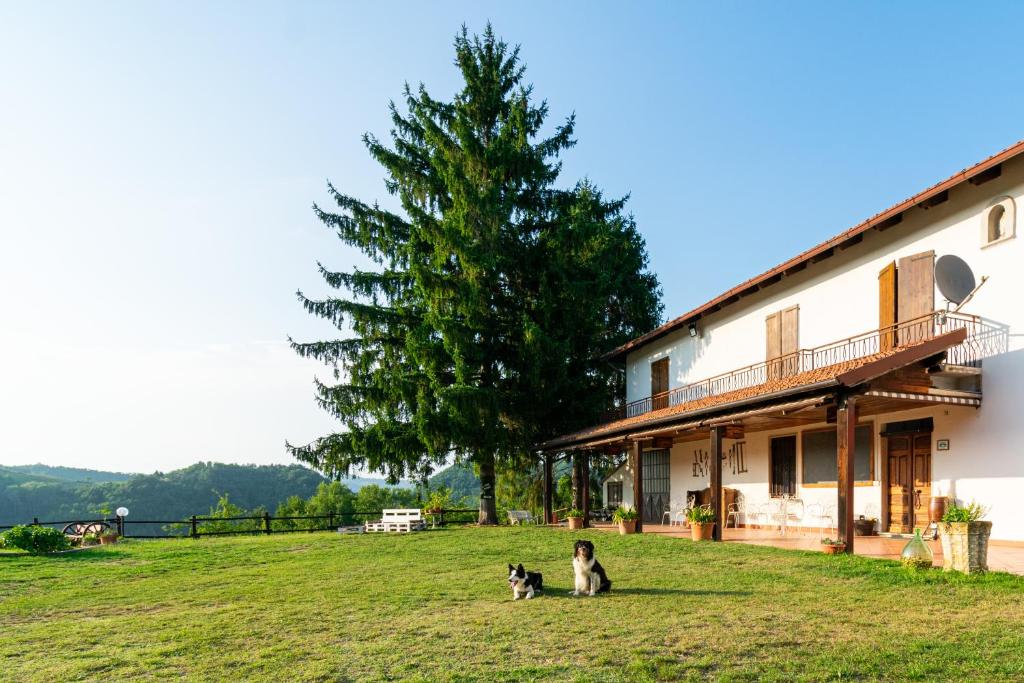 B&B Cascina Sant'Elena photo 4