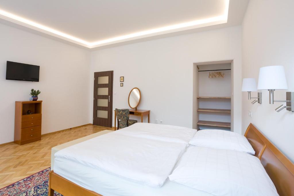 Luxusní velký apartmán s terasou v centru Litomyšle photo 3