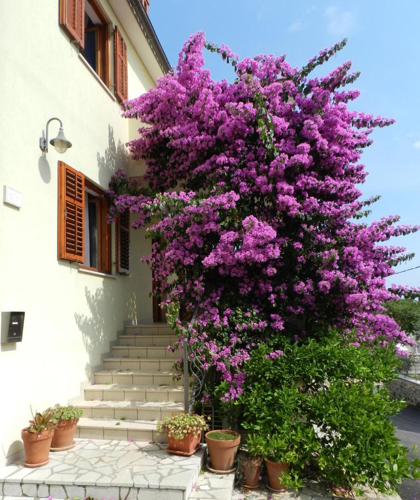 Mata Apartments photo 1