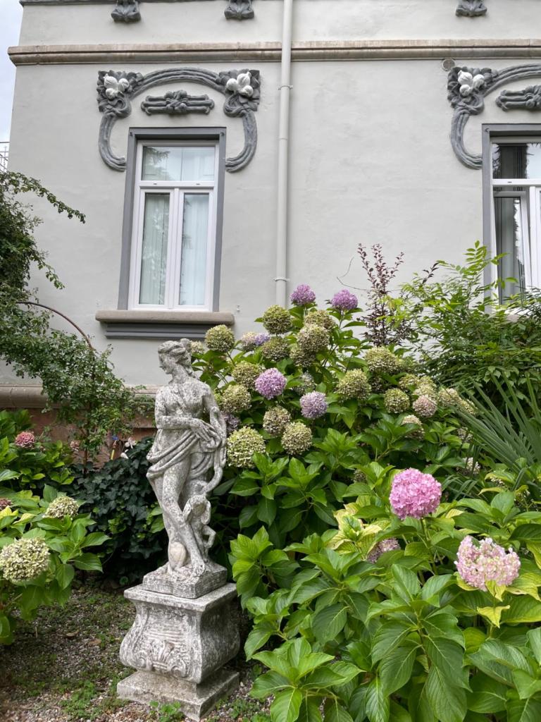 Villa Sapi photo 4