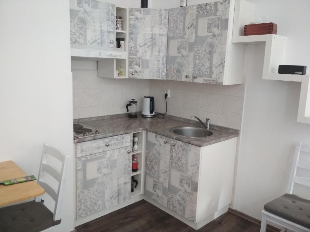 Apartmán Pernink - ubytování v srdci Krušných hor photo 3