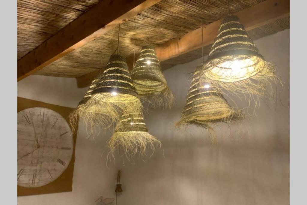 Gîte dans les pins avec piscine photo 3