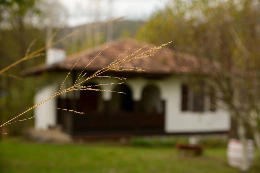 Vikend kuca Mir photo 2