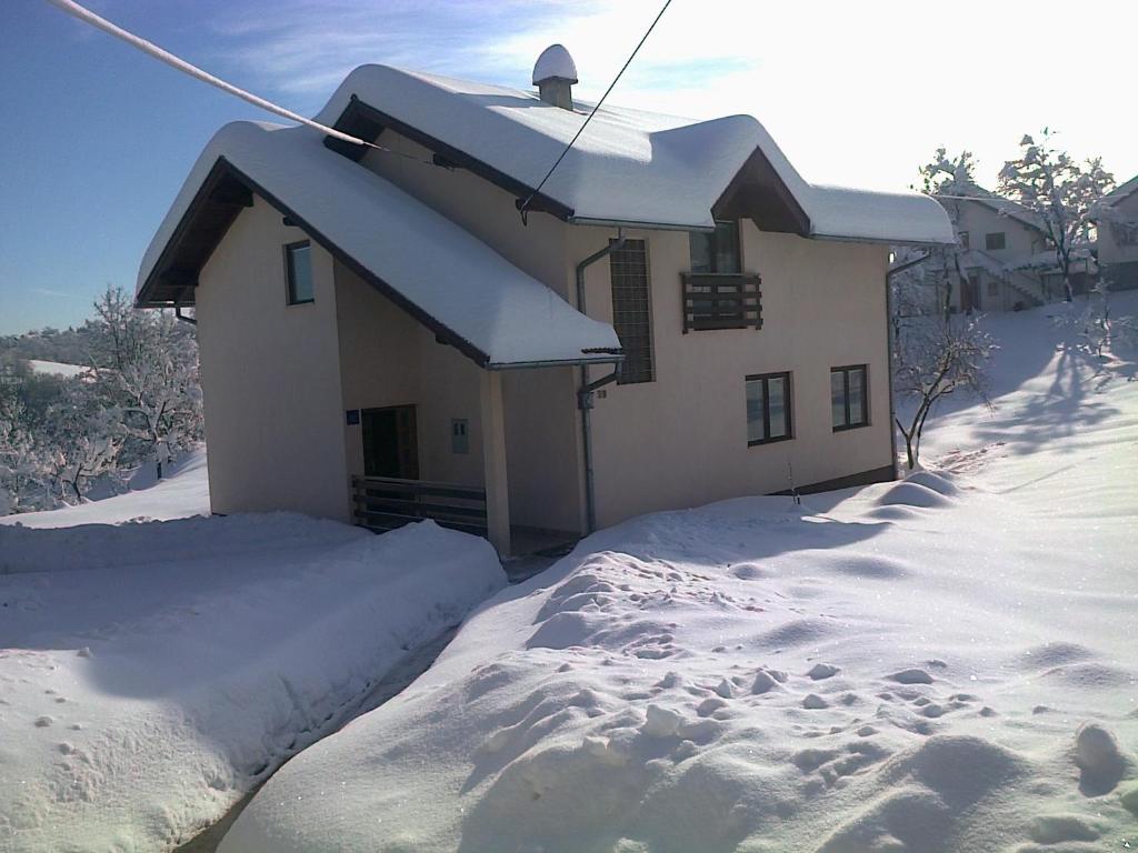 Guest House Tena photo 1