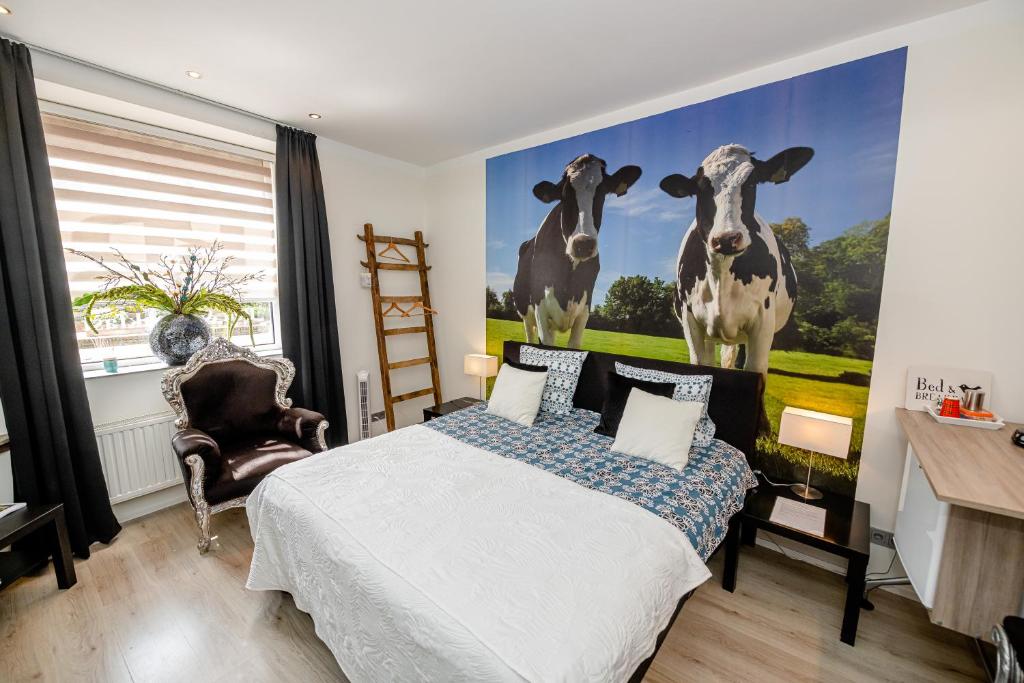 B & B M 3 photo 4