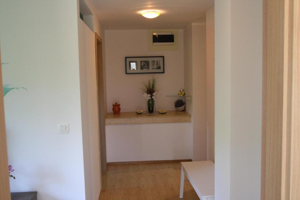 Dream Apartment Brglez photo 2
