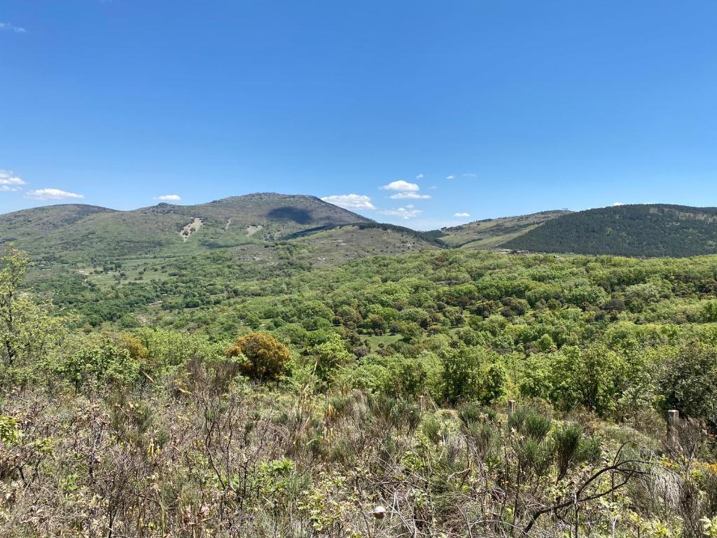 El Refugio de San Pablo de los Montes photo 4