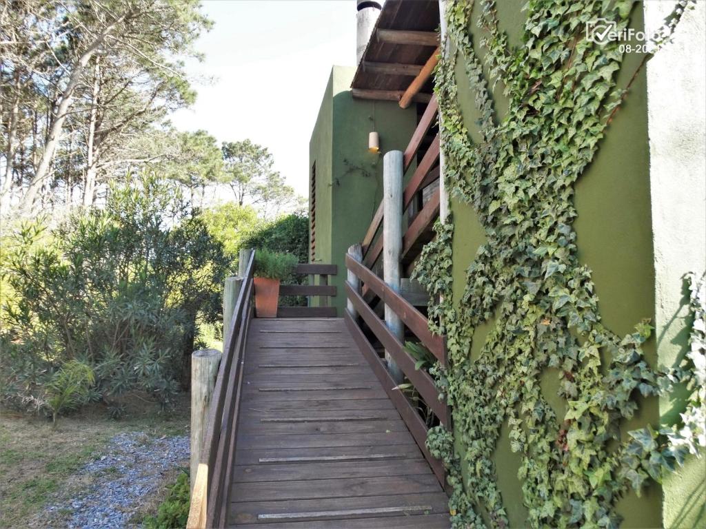 Ave Fénix, un lugar mágico para disfrutar. photo 4