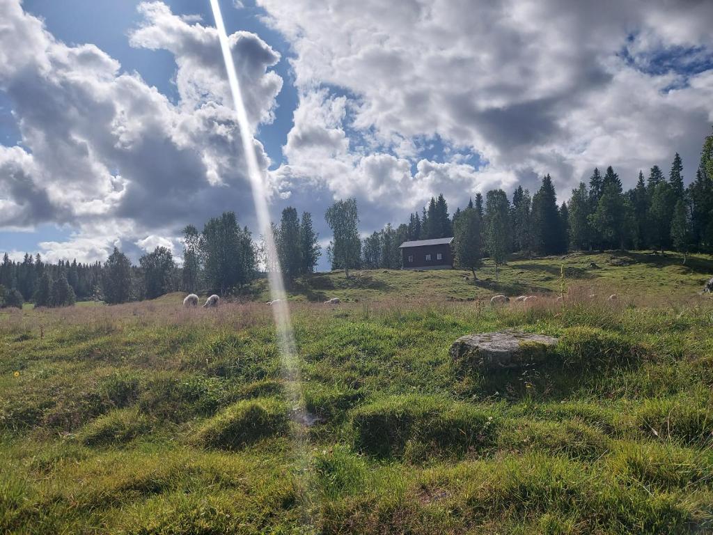 Villmarksgård, hytte ved vannet photo 2