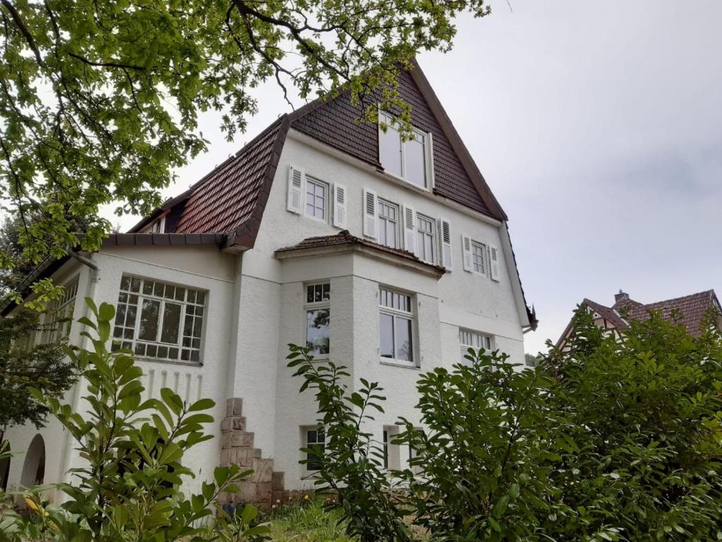 Villa am See photo 1