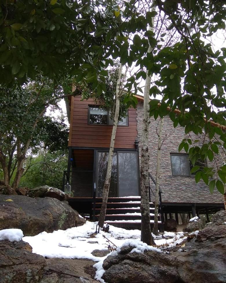Torito's House 1