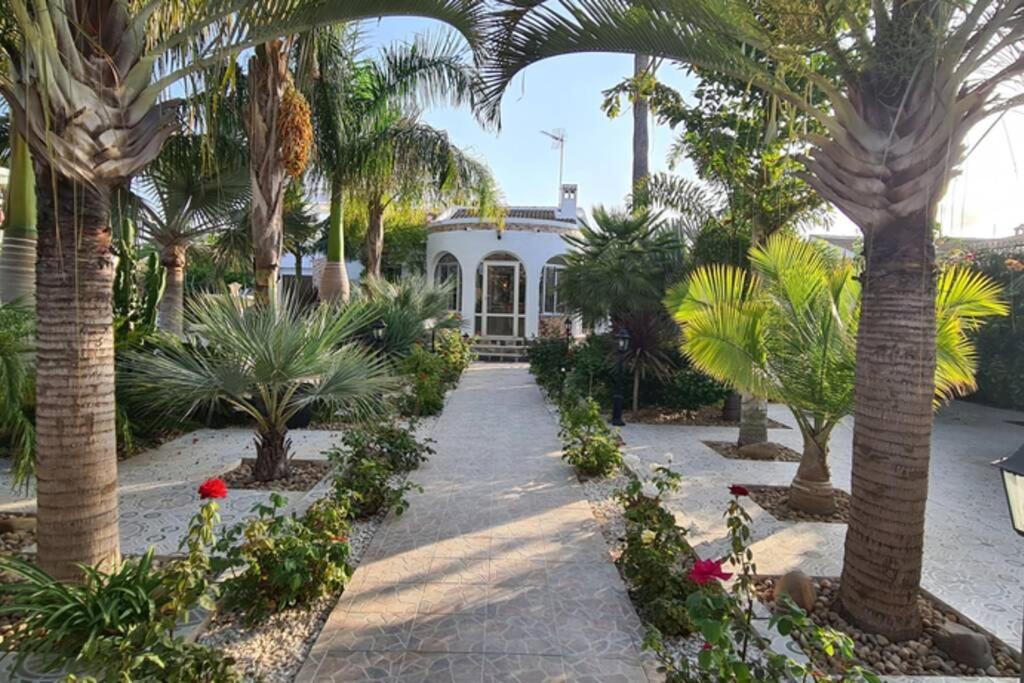 Tropical Paradise Villa in Torrevieja photo 2