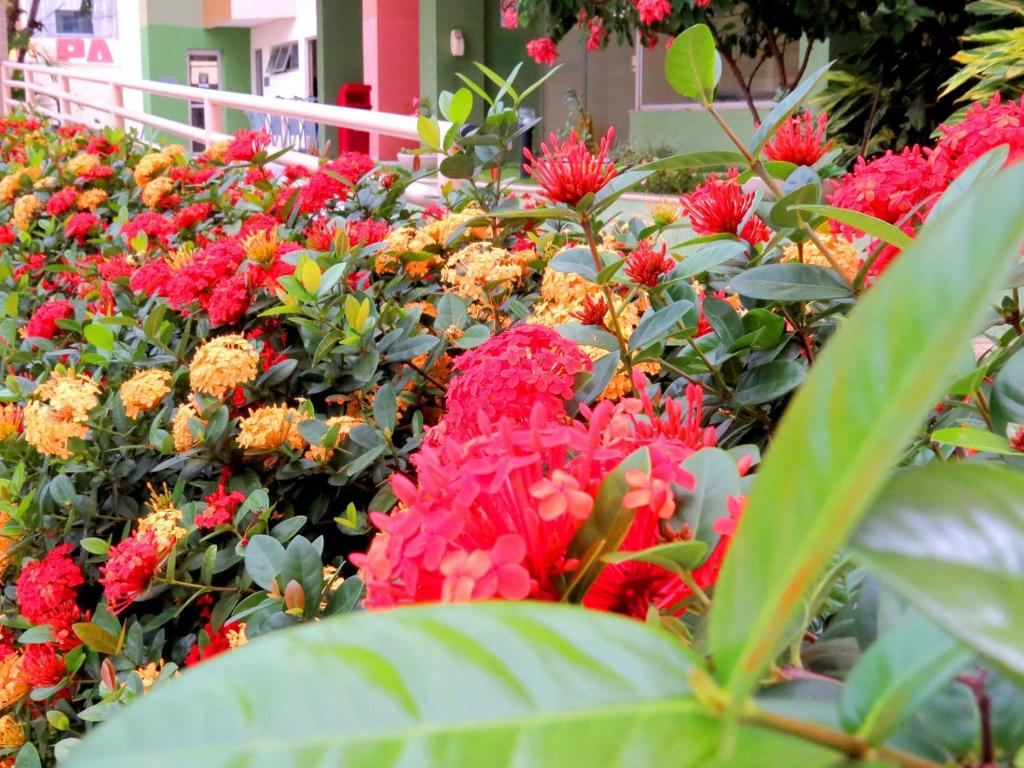 Vitoria das Thermas - Apartamentos para Temporada photo 1