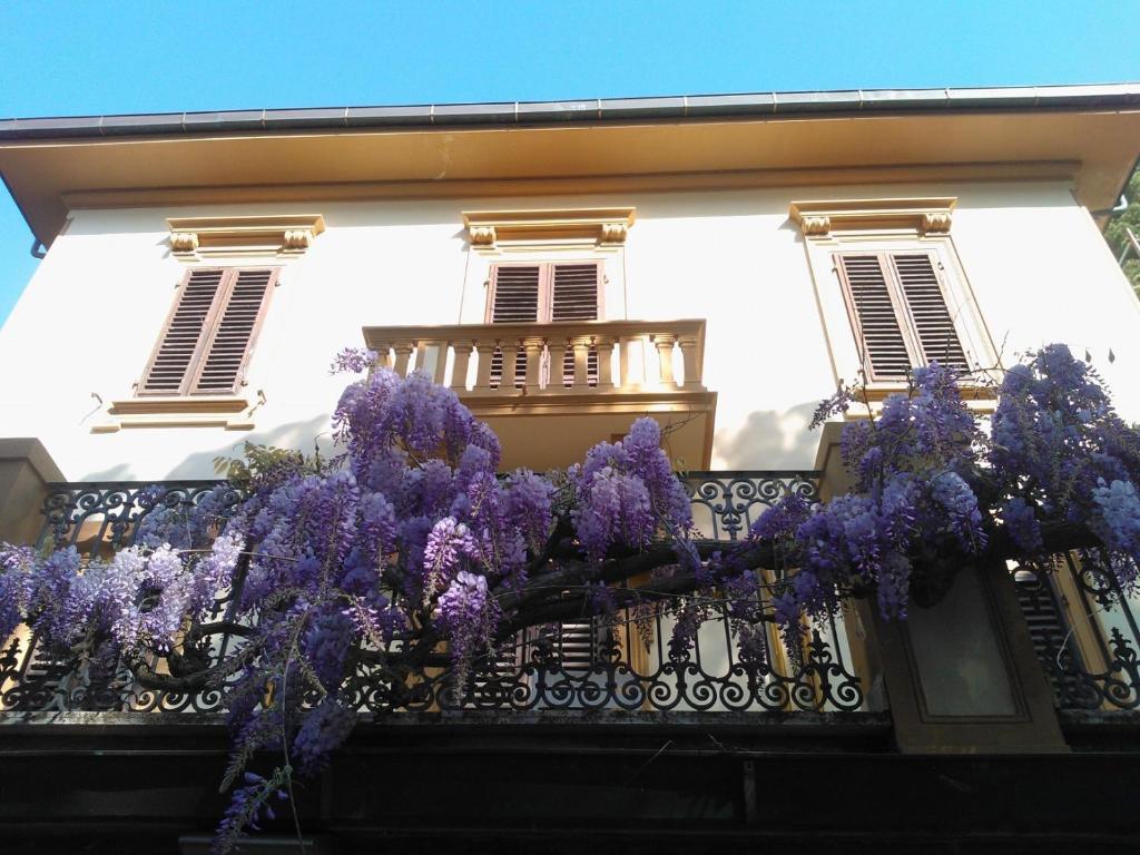 Villa Violetta photo 1