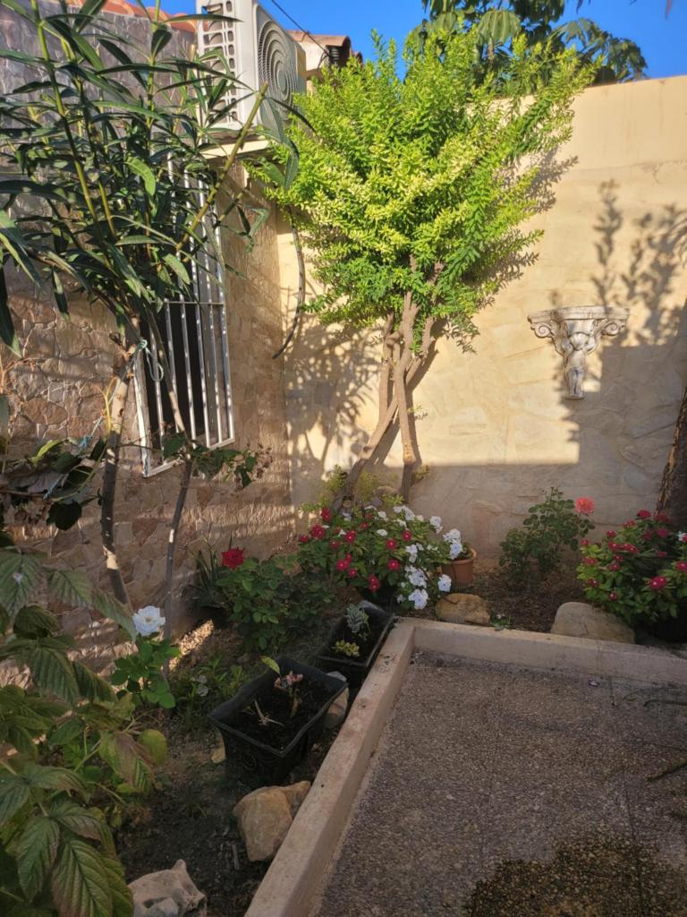 La casa de Irina photo 3