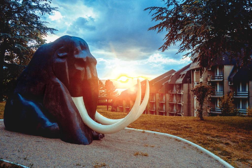 Hotel Lepenski Vir photo 3