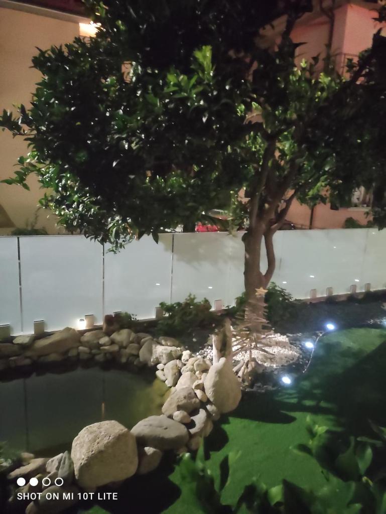 Appartamento Spotorno con ampio terrazzo attrezzato anche con angolo cottura photo 4