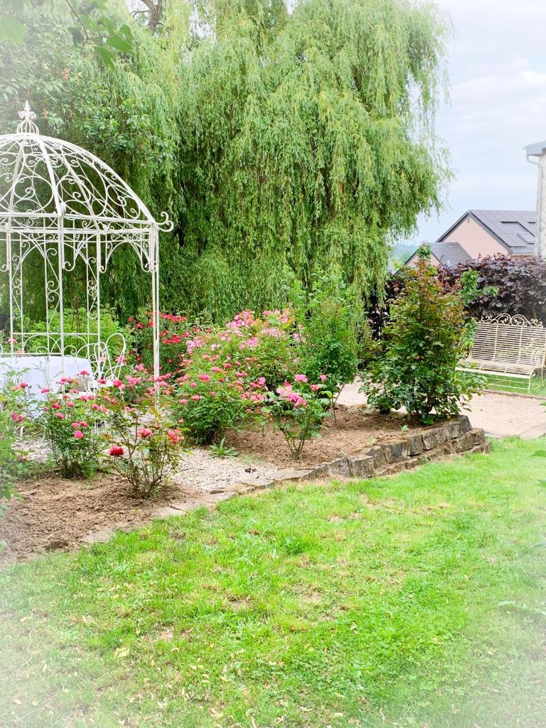 Isabelle's Rosegarden photo 1
