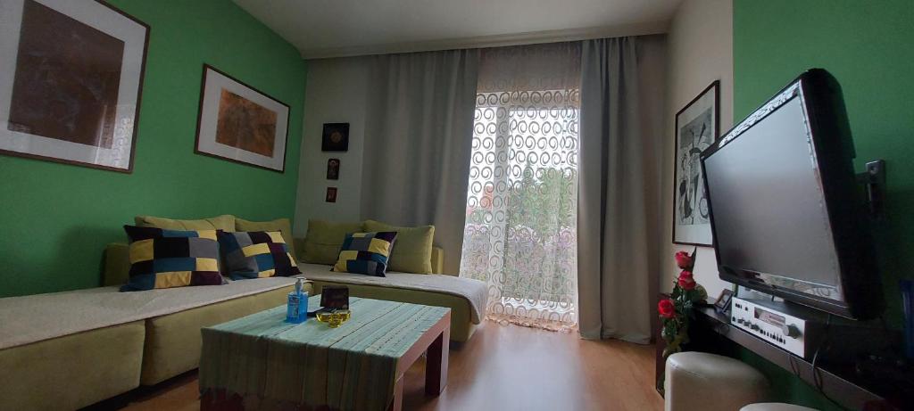 Apartment Vladan photo 4
