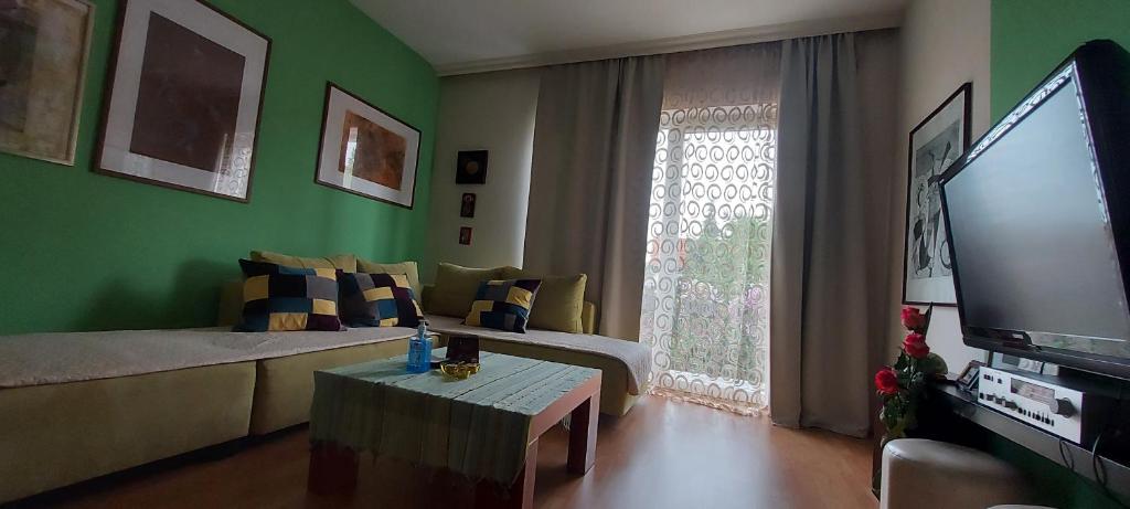 Apartment Vladan photo 1