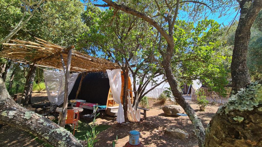 Gîte atypique : Le Pod photo 2