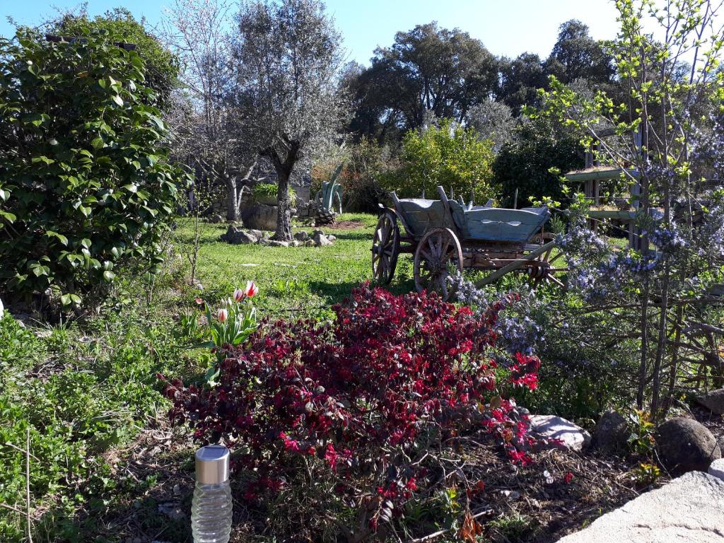 Gîte atypique : Le Pod photo 1