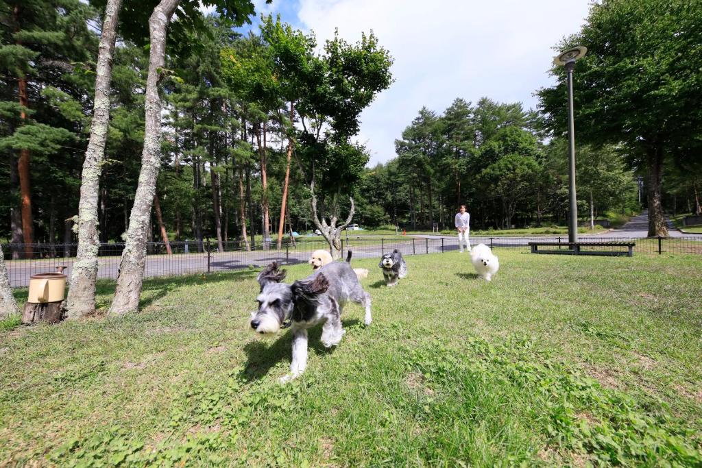 Yutorelo Tateshina Hotel with DOGS photo 1