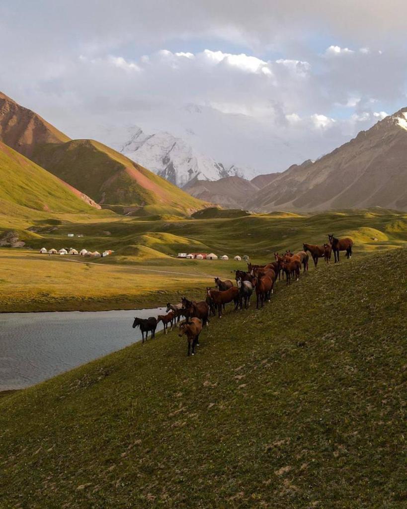 PAMIR NOMAD Yurt Camp photo 2