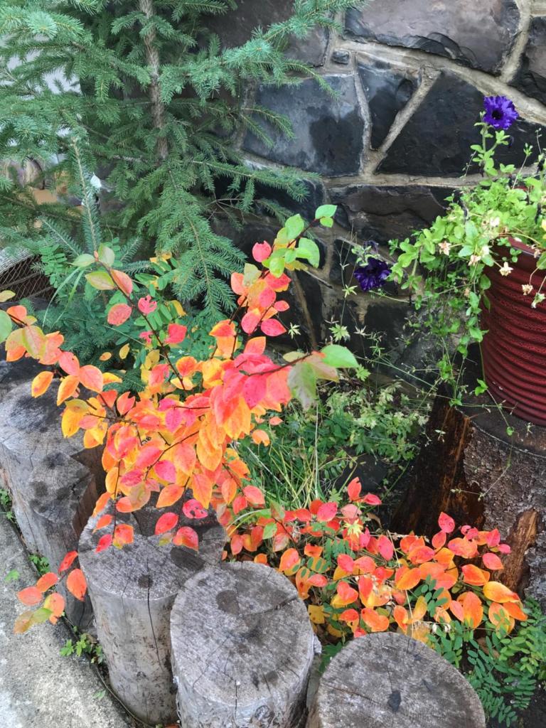 At Wits End B&B photo 3