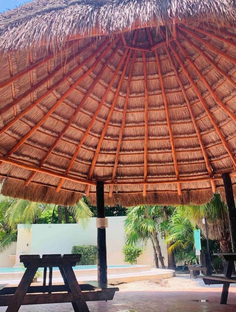 Relax en la playa con mas de 70 servicios photo 4