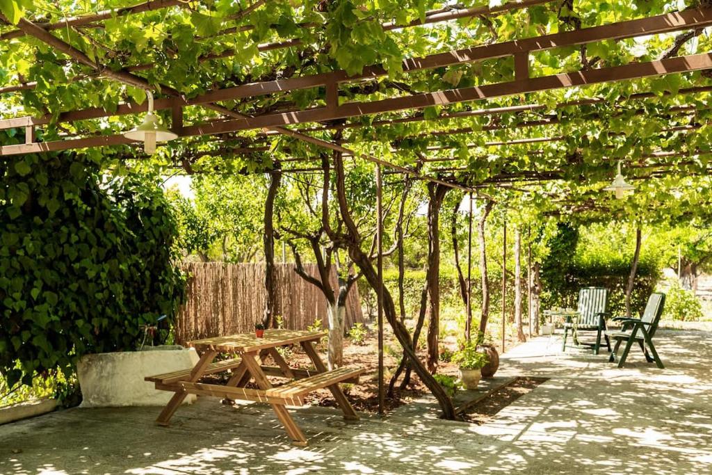 Mansion of 120 m2, with high ceilings and big yard photo 4