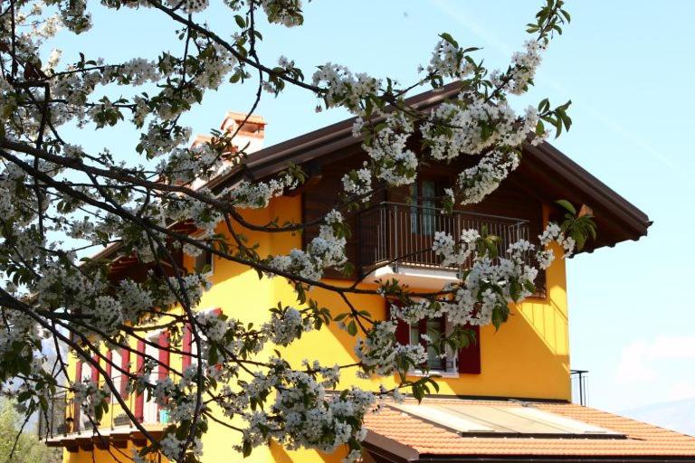 Agriturismo Malga Riondera photo 1