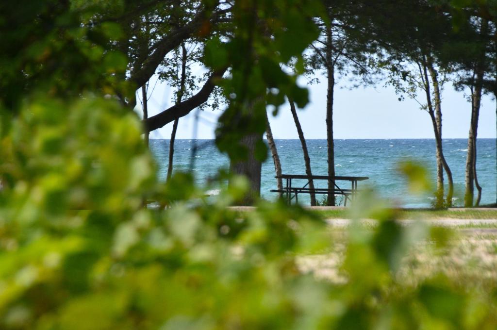 Adrians Wasaga Beach photo 1